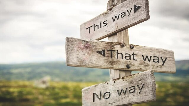 This way, that way, no way sign board. Nature, adventure, message, text, quote concept.