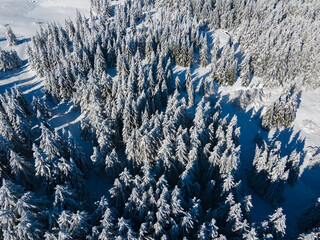 Aerial Winter view of Vitosha Mountain, Bulgaria