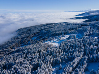 Aerial Winter view of Vitosha Mountain, Bulgaria