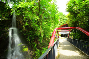 万葉公園　橋 　滝　神奈川県湯河原の風景
