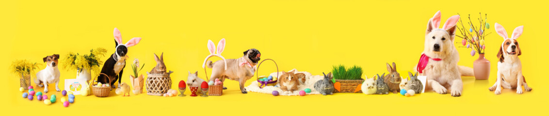 Cute fluffy rabbit with Easter eggs and basket on color background