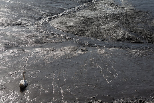 Wasserverfügbarkeit Bilder Durchsuchen 1,936 Archivfotos