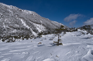 Fototapeta na wymiar 冬の八ヶ岳青空と厳冬の雪山風景