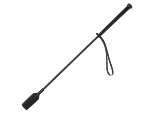 Horse riding crop on white background