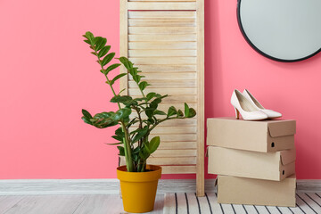 Stylish interior of modern hallway with houseplant and female shoes on pink wall background