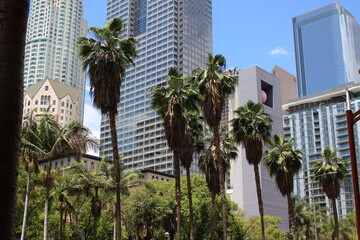Fototapeta na wymiar Palm Trees Among Skyscrapers in Downtown Los Angeles California. 80's Synth Vaporwave Aesthetics