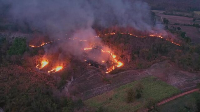 High wide angle aerial drone view with no people of bushfire or wildfire effect at rural slash and burn of deforestation, inferno in rainforest, woodland massive tragedy, tree wilderness lightning.