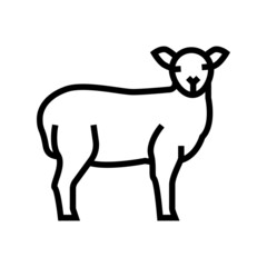 lamb domestic farm animal line icon vector. lamb domestic farm animal sign. isolated contour symbol black illustration