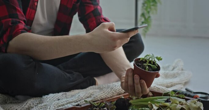 Tilt up view of crop young man in red checkered shirt sitting cross legged on floor and taking photos of small sprout in pot while doing home gardening in daytime