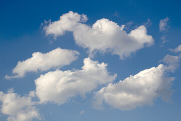 Fototapeta premium Blue sky and small white clouds