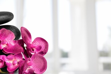 Beautiful fresh purple orchid flower.