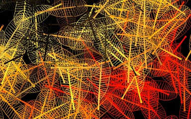 Dark Purple, Pink vector doodle layout with flowers, leaves.