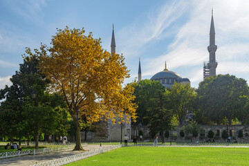 Fototapeta na wymiar The Sultan Ahmed Mosque (the Blue Mosque) in Istanbul, Turkey