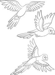 Coloring page. Three cute parrots red macaw fly.
