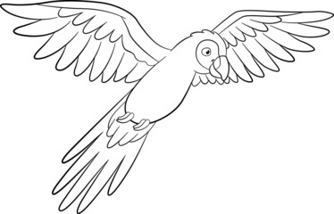 Coloring page. Cute parrot red macaw flies and smiles.