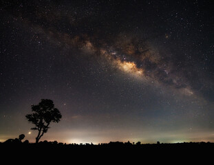 blue night sky milky way, star on dark background shadows of trees and meadows. with noise and grain.selection focus.