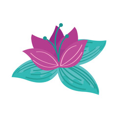 Fototapeta na wymiar cute lotus flower