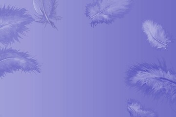 Fototapeta na wymiar The trending color of the new year is very peri. Light feathers on a purple background. Fashion color 2022.