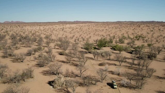 Safari truck drives on dirt track through drought resistant trees, Namibia