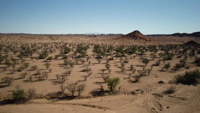 Sidewards aerial of truck driving through sparse vegetation in desert