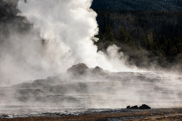 Exploding smoke of old Faithful, famous geyser of Yellowstone