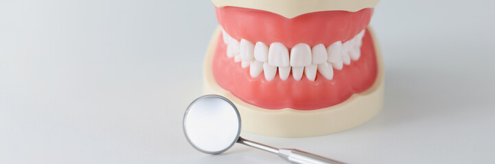 Dental instrument mirror lying near artificial plastic jaw closeup