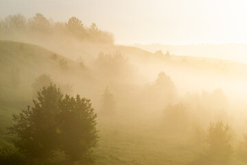 Foggy Morning landscape