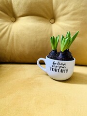spring coming cup of coffee