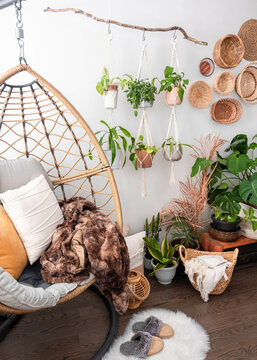 Multiple macrame plants hangers displayed with a cozy egg chair and plants.