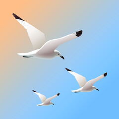 Seagulls on a blue sky background, gentle summer landscape,vector illustration