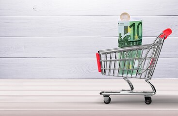 Money for shopping, in a shopping cart on light background.