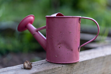 watering can for watering the garden