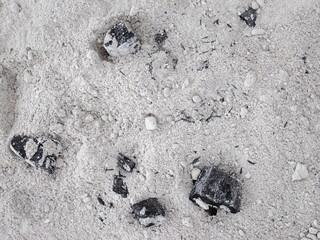 Wood ash with pieces of coal. Background