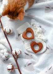 wooden toys for baby teething rattle in the interior of nursery room. no gender. pastel colors
