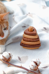 wooden toys for baby pyramids and ball in the interior of nursery room