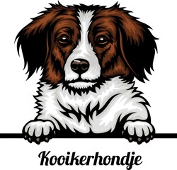 Kooikerhondje - Color Peeking Dogs - dog breed. Color image of a dogs head isolated on a white background