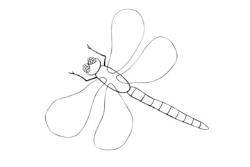 Vector outline black dragonfly in Doodle style, isolated on white background. Simple nature design element, clipart for spring, summer, postcard, coloring book. template for creativity