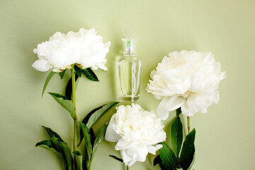 Transparent mockup glass bottle with perfume among fresh white peony flowers on light green