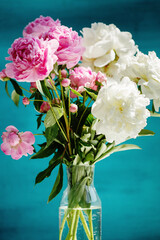 Flower bouquet of pink natural peonies flowers in a vase over turquoise background