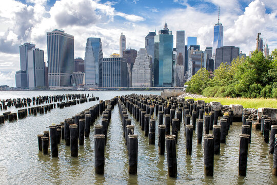 New York city skyline waterfront lifestyle. View of Manhattan downtown from the Brooklyn bridge park salt marsh. 