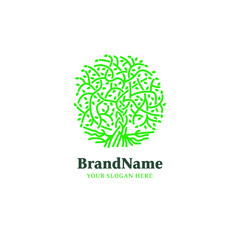 The Tree of Knowledge, Celtic Knot Tree, Branch, Leaves and Root Logo Vector Design