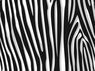 Fototapeta na wymiar Seamless zebra skin pattern. Abstract background of dark stripes on a light background. Print on fabric, on textiles. Vector illustration