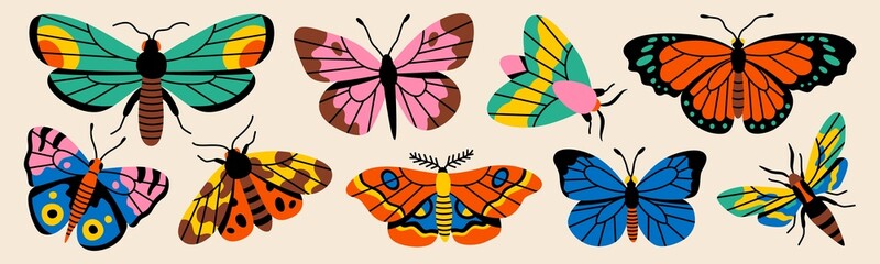Butterfly and moth vector illustration set