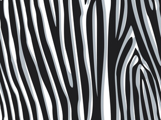 Seamless zebra skin pattern. Abstract background of dark stripes on a light background. Print on fabric, on textiles. Vector illustration