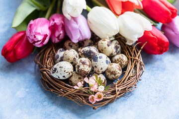 Fototapeta na wymiar Beautiful colorful tulips with quail eggs in wreath made of twigs, blue concrete background. Spring and Easter holiday concept.