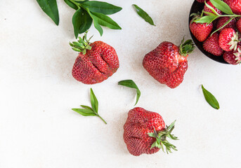 Large ripe deformed strawberries of abnormal shape on light background. Trendy food. Concept of...