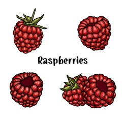 Hand drawn vector raspberry. Doodle raspberries.	