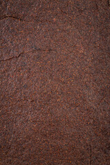 Tea seed residue particles texture background