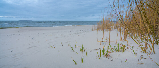 shore of the baltic sea on a cloudy day in autumn