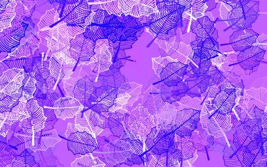 Light Purple, Pink vector abstract backdrop with leaves.